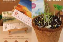 Seed-Calendar-2-1