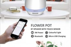 Flower-Pot